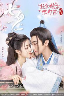 我家娘子不好惹