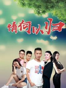 情何以归