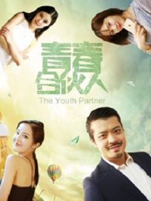青春合伙人2017