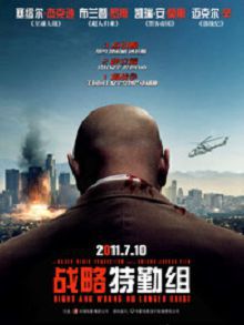 战略特勤组2010