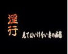 yin行