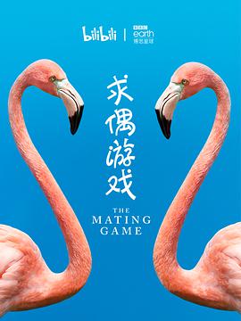 求偶游戏孟非配音版