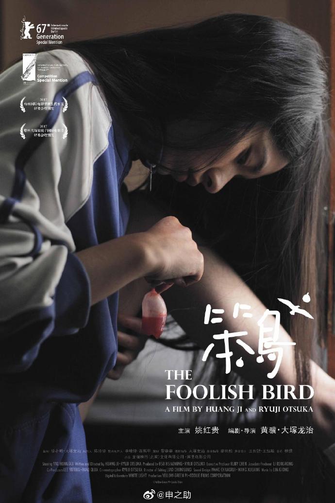 TheFoolishBird