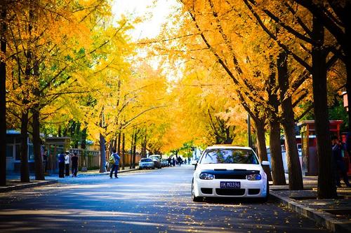 北京等待WaitinginBeijing