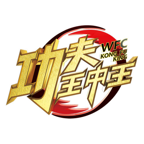 功夫王中王第三季