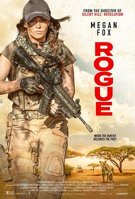 侠盗Rogue