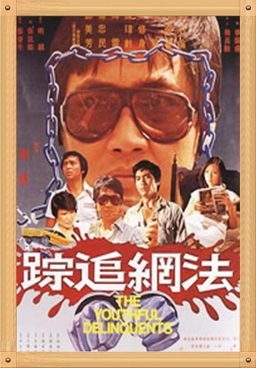 难逃法网中文版