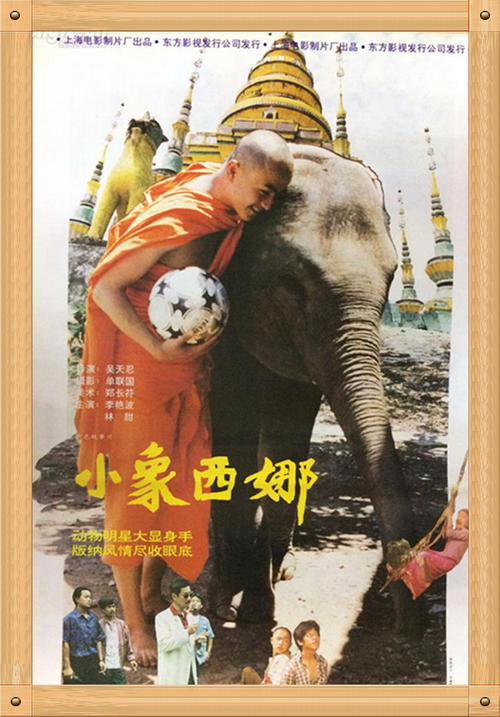小象西娜