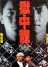 潇洒先生粤语版