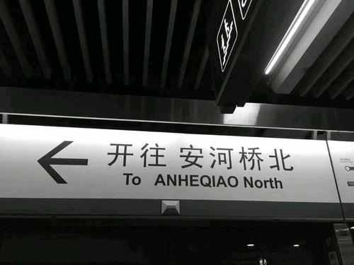 沉寂之桥普通话版