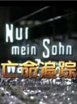 亡命追踪普通话版