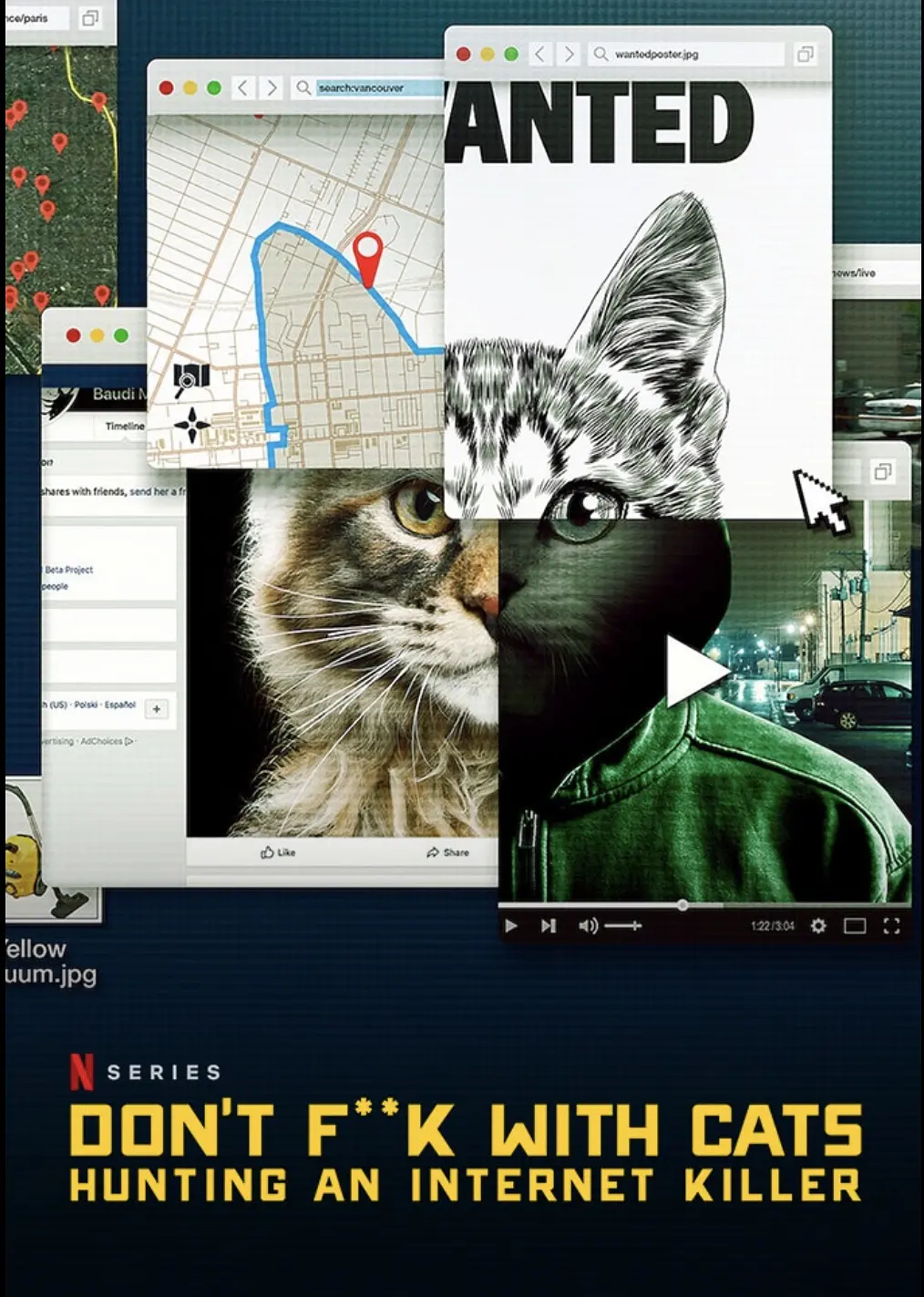 别惹猫咪追捕虐猫者