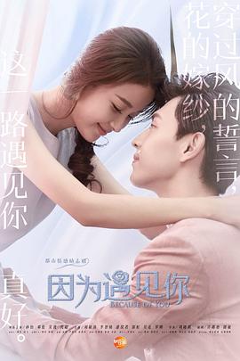 因为遇见你DVD版