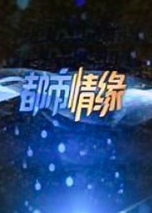 都市情缘2022