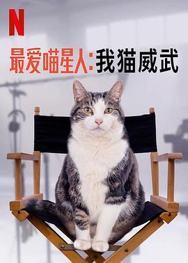 讲述猫中乔治克鲁尼的故事#最爱喵星人我猫威武
