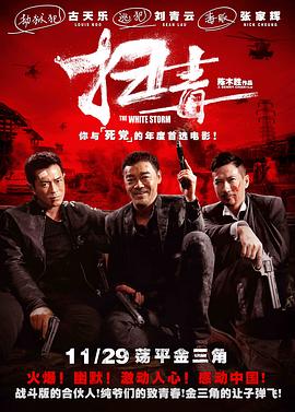 扫毒普通话版