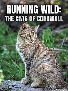 RunningWild:TheCatsofCornwall2020