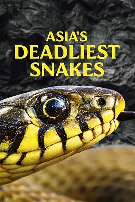 AsiasDeadliestSnakes2011