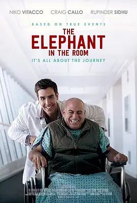 TheElephantInTheRoom