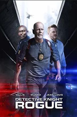 警探奈特侠盗2022