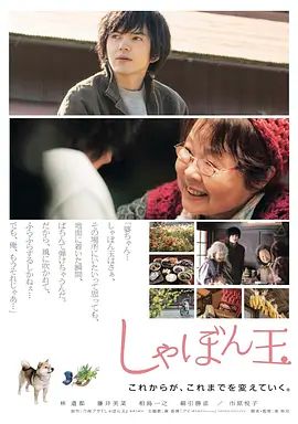 肥皂泡2017