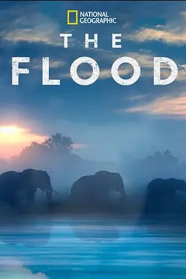 TheFlood
