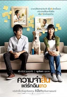 爱久弥新2009
