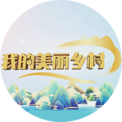 我的美丽乡村2023