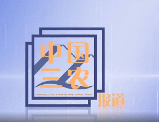 中国三农报道2023