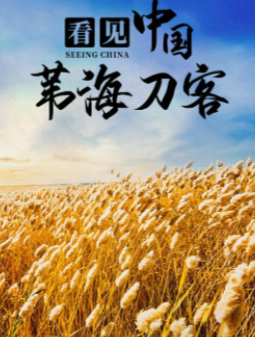 看见中国苇海刀客