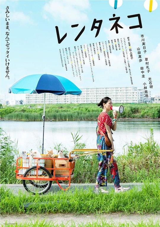 租赁猫2012
