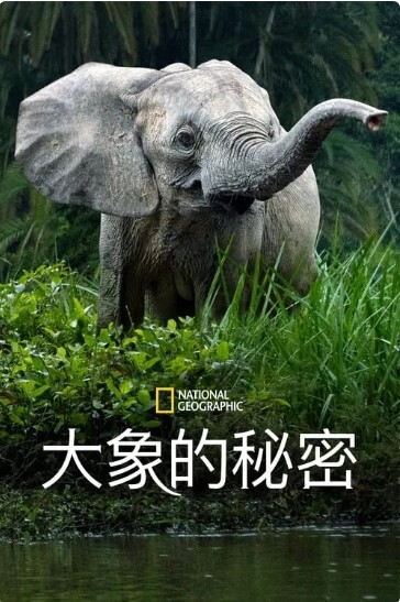 SecretsoftheElephants第一季2023