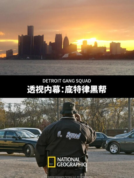 透视内幕底特律黑帮
