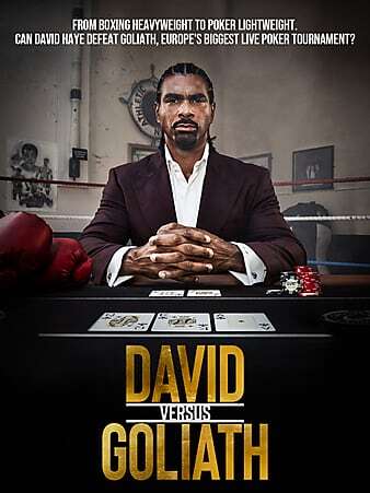 DavidvsGoliath