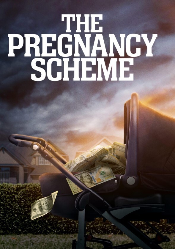 ThePregnancyScheme2023