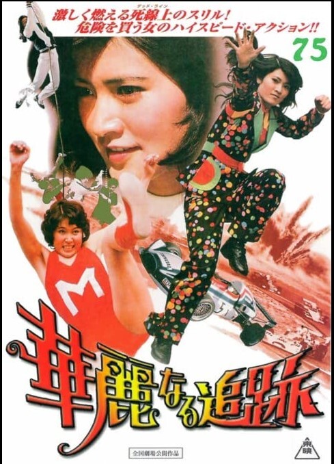 华丽的追踪1975