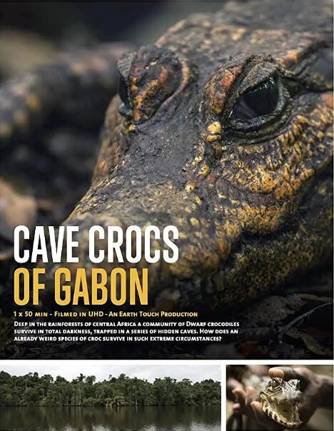 CaveCrocsofGabon