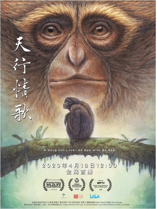 天行情歌