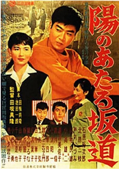 向阳的坡路1958