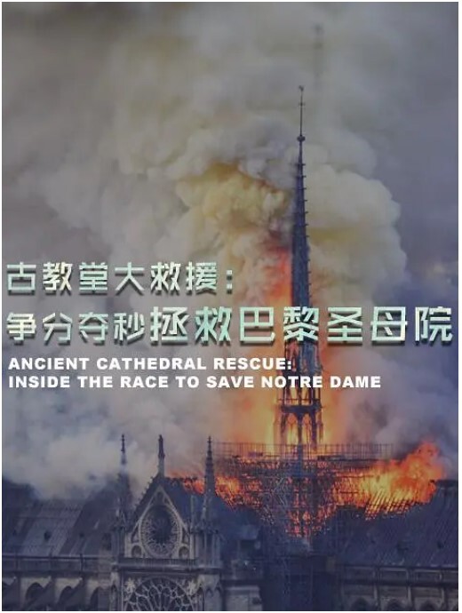 古教堂大救援争分夺秒拯救巴黎圣母院