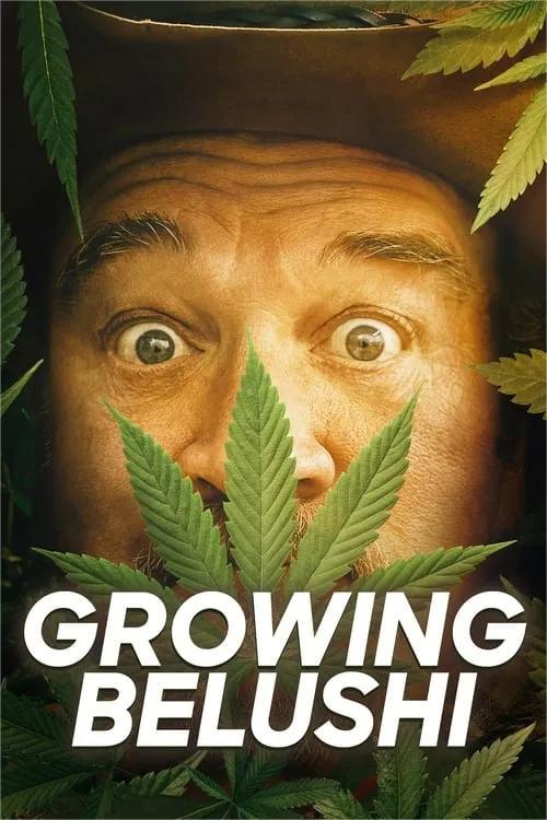 GrowingBelushi第一季