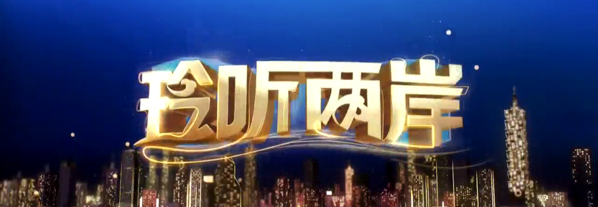 玲听两岸2013