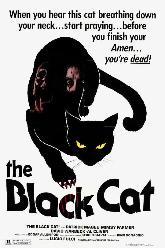 黑猫1981