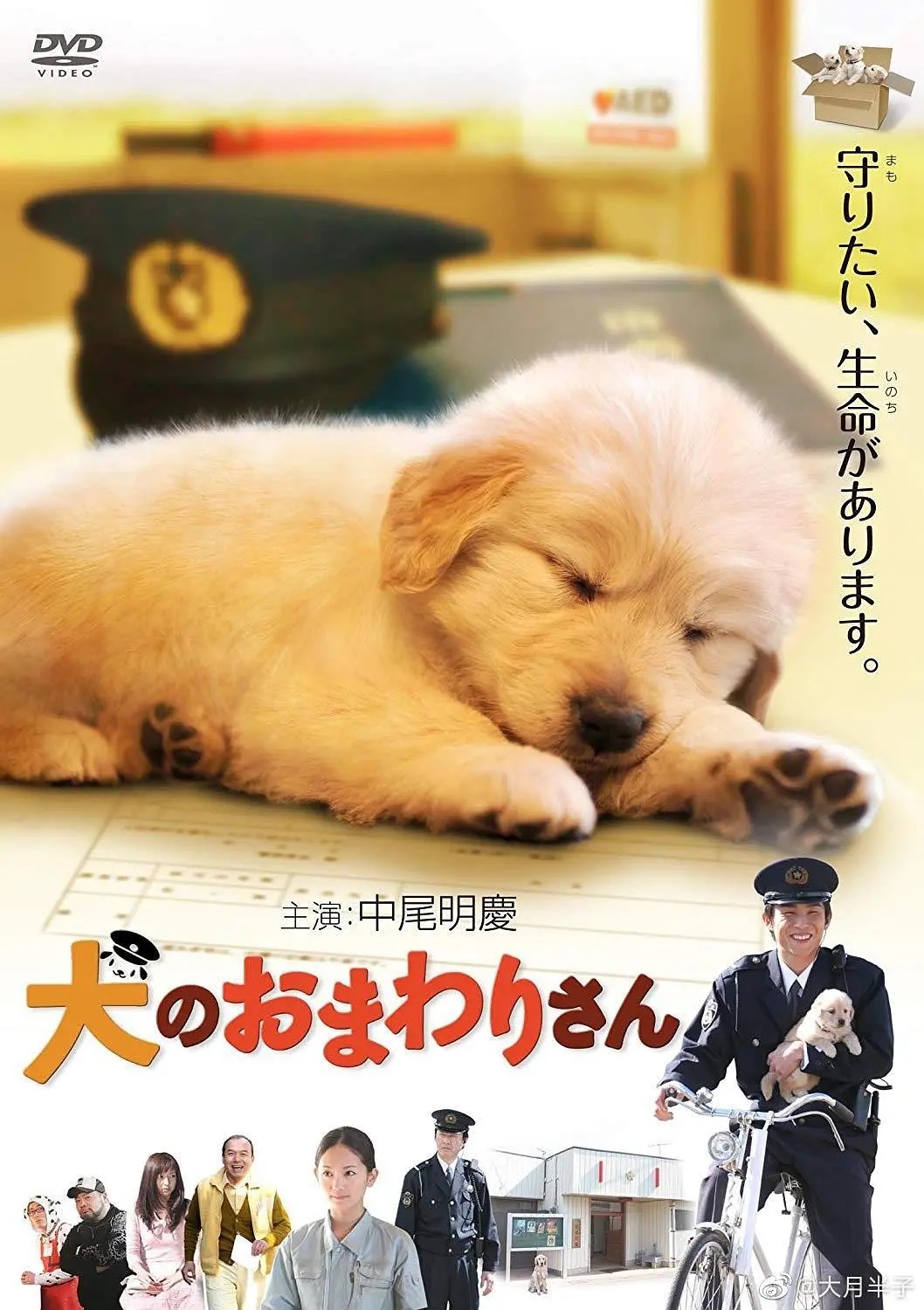 小狗的巡警先生2011