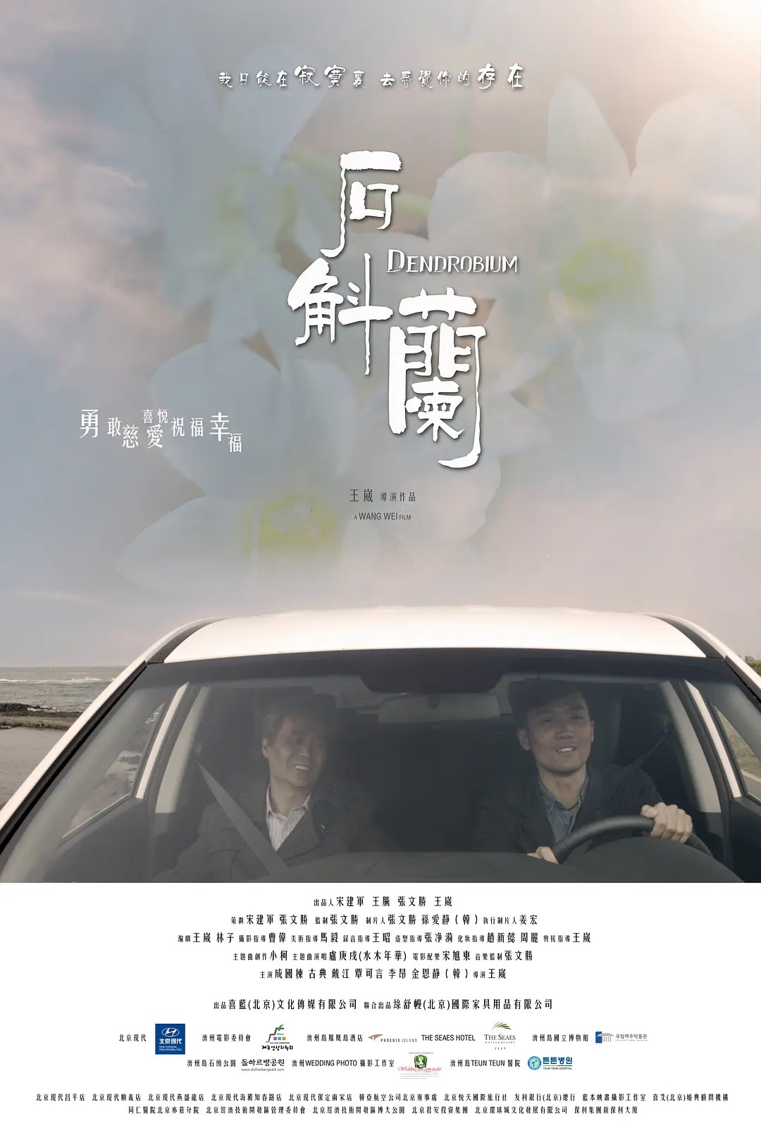 石斛兰2014