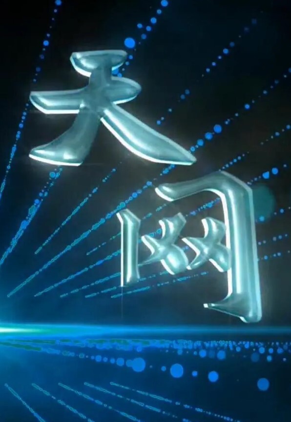 天网2024