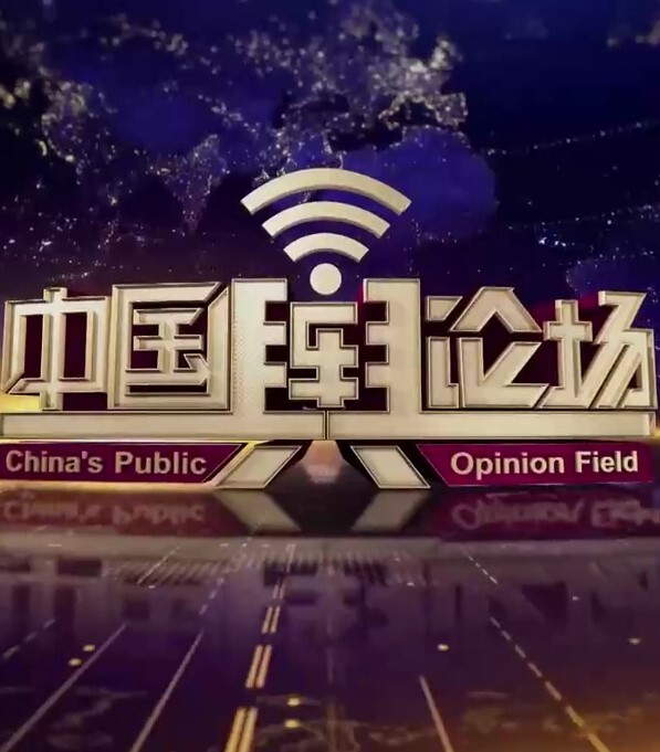 中国舆论场2024