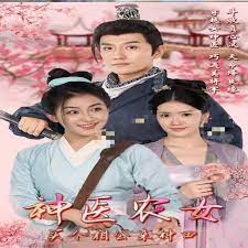 神医农女买个相公来种田