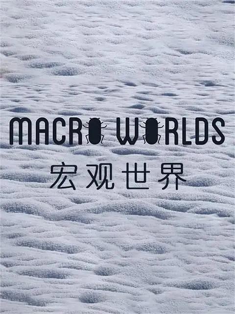 宏观世界2017