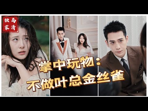 掌中玩物不做叶总金丝雀